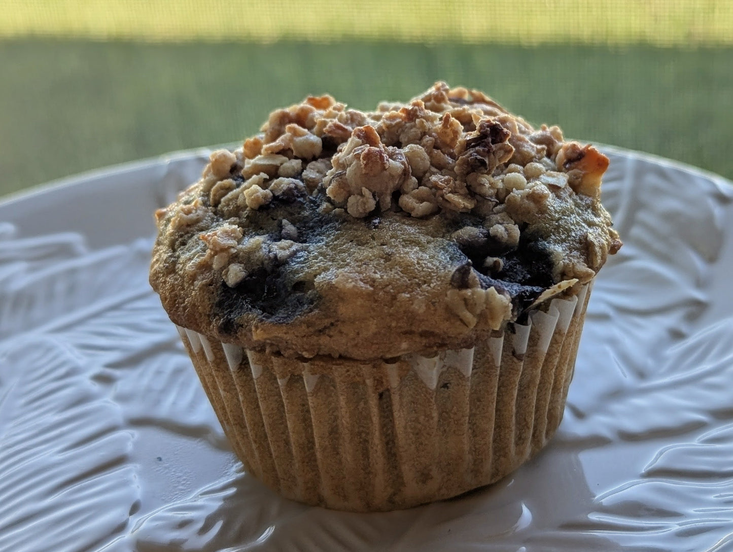 Protein Packed Blueberry Muffin