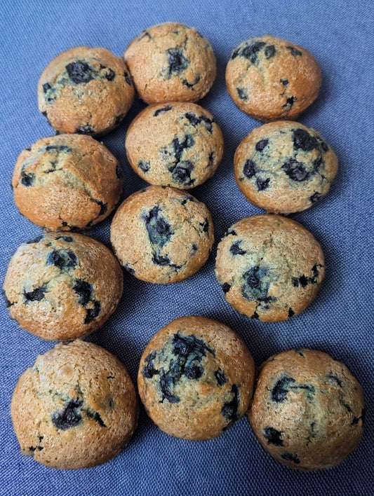 Blueberry Muffin